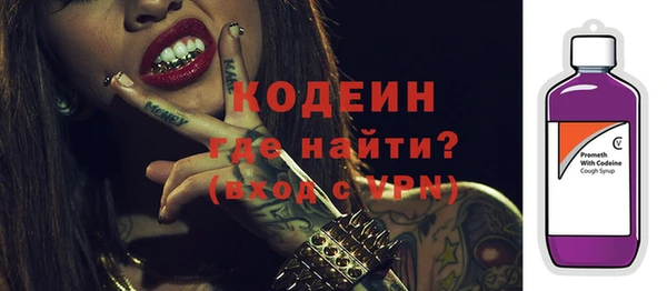 дживик Слюдянка