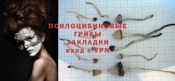 синтетический гашиш Богородск