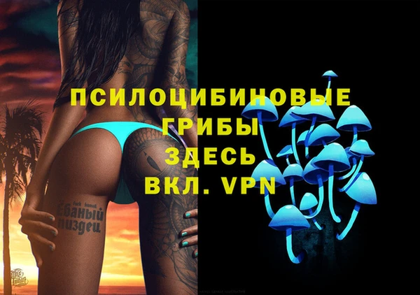 a pvp Снежногорск