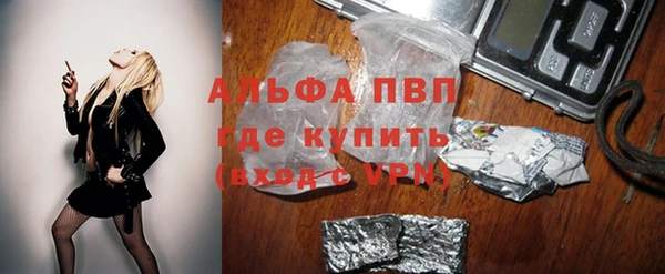 амф Богородицк