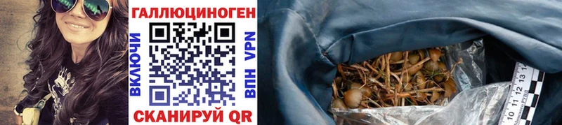 Галлюциногенные грибы Psilocybe как найти закладки Вихоревка