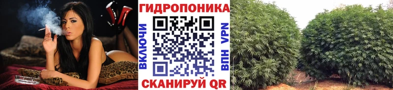 МАРИХУАНА ГИДРОПОН  Вихоревка 